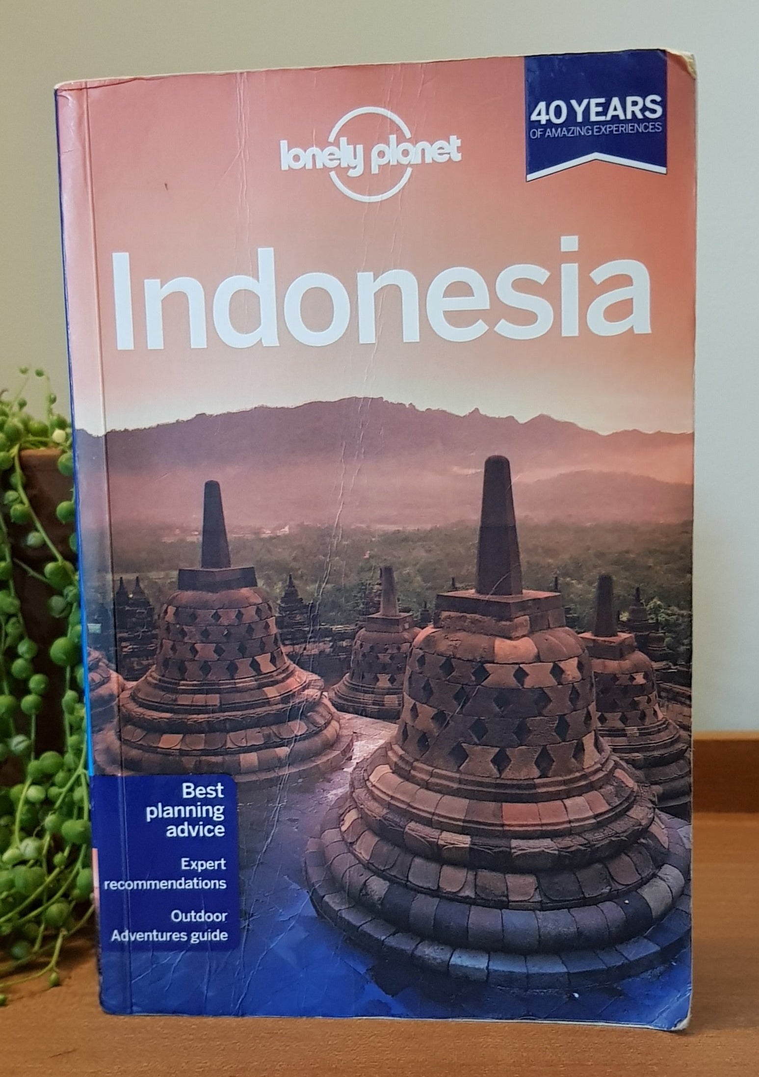Lonely Planet Indonesia (Travel Guide) by Ryan ver Berkmoes – Green House  Books