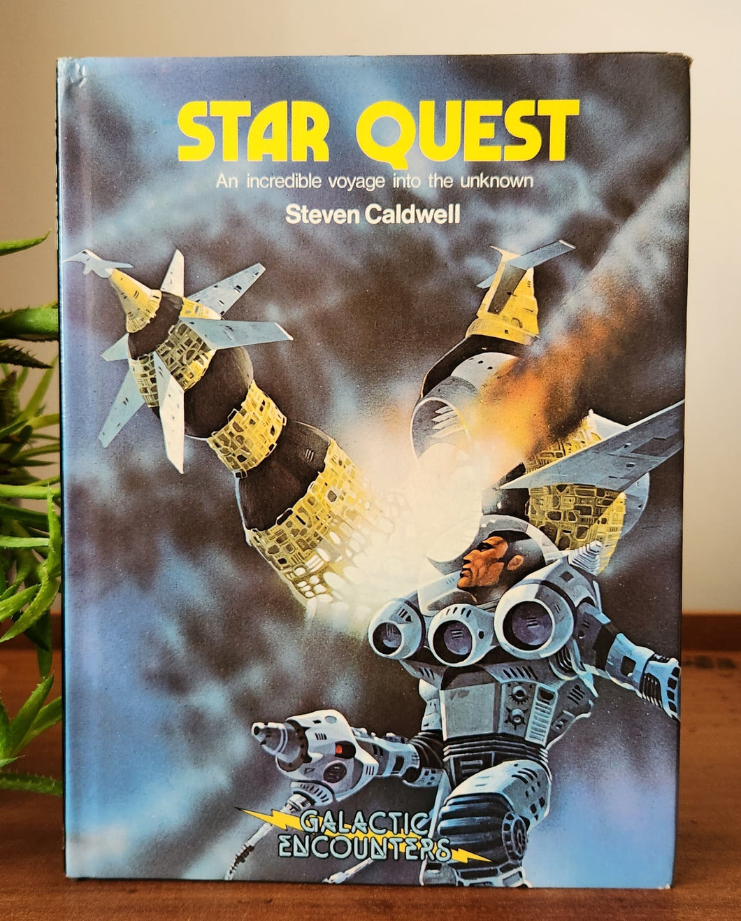 Star Quest: An Incredible Voyage Into the Unknown by Steven Caldwell