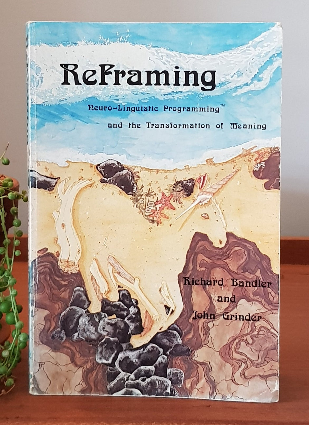 Reframing: Neuro-Linguistic Programming and the Transformation of Meaning by Richard Bandler, John Grinder